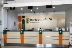Bank Bengkulu Ubah Tampilan Saldo e-Channel, Nasabah Kini Hanya Bisa Melihat Saldo Ini!