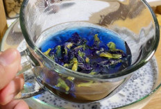 Diyakini dapat Mengatasi Penyakit Jantung, Obat Para Leluhur, Begini Mengelola Teh Bunga Telang