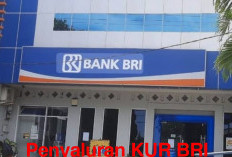 Hingga Triwulan Kedua, BRI telah Menyalurkan Dana KUR Rp 85 Triliun 