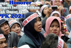 Simak Baik-Baik! Tenaga Honorer Kategori Ini Dipastikan Tidak Dapat Ikut PPPK 2024, Simak Penjelasannya