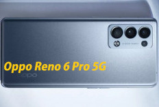 Oppo Reno 6 Pro 5G Desain Elegan dan Teknologi Terkini, Segini Harganya di Tahun 2025
