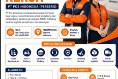 INFO LOKER! PT Pos Indonesia Pria/Wanita, Banyak Posisi Dibutuhkan, Tertarik Lamar di Sini