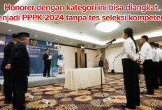 Kategori Honorer Bisa Diangkat Menjadi PPPK 2024 Tanpa Tes Seleksi Kompetensi, Simak Ketentuannya