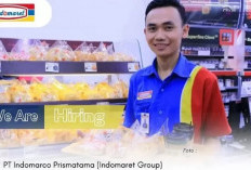 Loker Indomaret Prismata untuk Lulusan S1, Berikut Persyaratan Lengkapnya