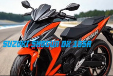 All New Suzuki Shogun DX 185R, Bergaya Bebek Sport yang Berotot, Motor Terabas Harga Terbatas