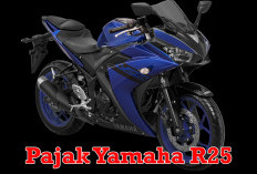 Cari Motor Sport Agresif dengan Performa Mengesankan, Yamaha R25 Jawabannya! Yuk Kepoin Besaran Pajaknya di Si