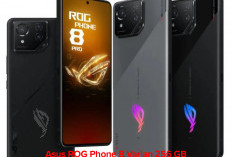 Asus ROG Phone 8 Varian 256 GB, Gara-Gara Fitur Internet Lambat, Penyimpanan Kurang Buat Game Besar