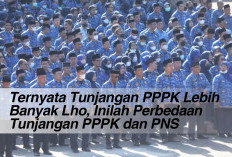 Ternyata Tunjangan PPPK Lebih Banyak Lho, Inilah Perbedaan Tunjangan PPPK dan PNS 