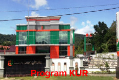 Program KUR Fantastis, Bank Bengkulu Atasi   Kesulitan Pelaku Usaha, Yuk Intip Teknisnya! 