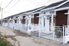 Tips Memilih Rumah Subsidi Minimalis yang Berkualitas Agar Nyaman Dihuni Sepanjang Hari