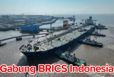 Gabung BRICS, Indonesia Buka  Peluang Impor Minyak dan Gandum 