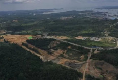 45 Hektar Lahan Tol di IKN Bermasalah, Berikut Penjelasan Satgas Pembangunan Infrastruktur IKN