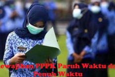 PPPK 2024 Terbagi 2 : Paruh Waktu dan Penuh Waktu, Ini 5 Kewajibannya