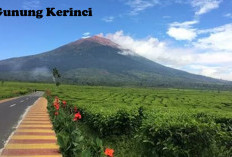 Kisah Gunung Kerinci dengan Mitos Serem: Ada Rumah Sakit Terbengkalai dan Uhang Pandak!