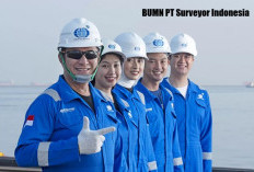 BUMN PT Surveyor Indonesia Kini Buka Lowongan untuk Banyak Posisi Yuk Cek!