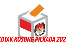 KPU Perlu Atur Kampanye Kotak Kosong    Pilkada 2024, Ini Kata Pakar Politik