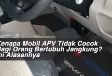 Kenapa Mobil APV Tidak Cocok Bagi Orang Bertubuh Jangkung? Ini Alasannya