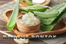 Pusing Rambut Rontok, 5 Tanaman Herbal Ini Solusi Ampuhnya, Auto Tampil Percaya Diri Lagi