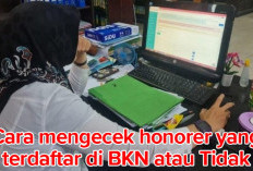 Sebelum Mendaftar PPPK, Honorer Mesti Cek Apakah Terdaftar di BKN atau Tidak, Begini caranya 