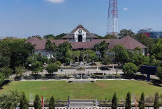 Mahasiswa Undip dikeroyok 30 Orang Hingga Geger Otak, Pihak Universitas Bentuk Tim Khusus Penyelesaian Kasusny