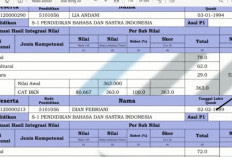 Tidak Ada Lagi Passing Grade Dalam Pendaftaran PPPK 2024, Diganti dengan CAT, Begini Simulasinya