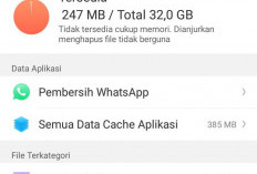 Cara Mengatasi Memori Penuh di HP OPPO, Menyebabkan Ponsel Melambat