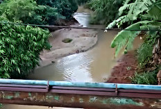 Benarkan Jangkos di Sungai Perumbaian  Hanyut? Ini Klarifikasi dari PT KGS 