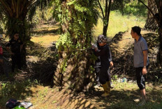 HPT Bukit Rabang Rusak, Dewan Desak Segera Dipulihkan