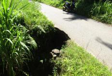 Terus Dimakan Longsor, Jalan Kabupaten di Arga Mulya Terancam Putus