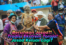Tradisi Aneh dan Ekstrem Suku Toraja, Bersihkan Jasad yang Sudah Dikuburkan