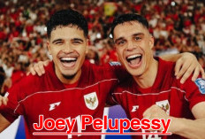 Berkat Membela Timnas Indonesia, Joey Pelupessy Makin Populer dan Dicintai 