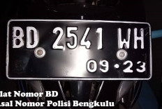 Plat Nomor BD Asal Nomor Polisi Bengkulu, Yuk Kenal Lebih Dekat di Sini Seri Wilayahnya!