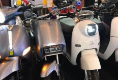 Daftar Motor Listrik Bekas Harga Murah Cocok Buat Kamu yang Low Budget