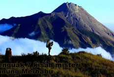 Pertapaan Para Wali! Menguak 7 Kisah Misteri Gunung Merbabu Provinsi Jawa Tengah