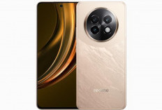 Realme 13+ 5G Usung Performa Tinggi dan Pengisian Daya Super Cepat, Berikut Infografisnya