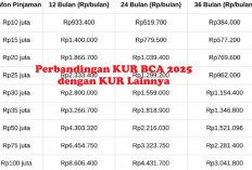 Perbandingan KUR BCA 2025 dengan KUR Lainnya, Mana yang Lebih Untung? Yuk Intip di Sini!