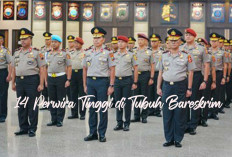 Hadapi Idul Fitri 1446 H, Sebanyak 14 Perwira Tinggi di Tubuh Bareskrim Polri Terkena Mutasi, Berikut Namanya