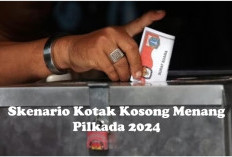 Skenario Kotak Kosong Menang Pilkada 2024, KPU-DPR Siapkan Opsi Berikut Ini