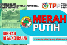 Jakarta Pembentukan Koperasi Merah Putih Paling Tepat, Begini Kelebihan Utamanya