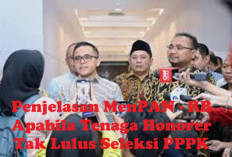 Jadi Begini Penjelasan MenPAN - RB Apabila Tenaga Honorer Tak Lulus Seleksi PPPK 2024