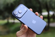 iPhone 18 Bikin Kaget! Versi Standar Justru Turun Kelas, Ini Alasannya