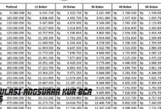 Simak Keuntungan Serta Simulasi Angsuran KUR BCA 2025