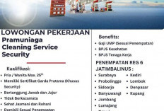 Lamar Sekarang! Lowongan Pekerjaan di Pertamina untuk Tiga Posisi, Pria Wanita Bisa Mendaftar