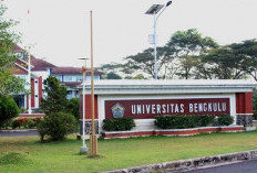 Siap Terima Mahasiswa Asing,   Ini Kesiapan Universitas Bengkulu
