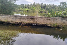 Tanggul Pantai Danau Kembar Jebol, Tak Kuat Tahan Gerusan dan Luapan Laut