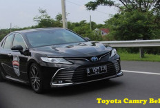 Tertarik Membeli Toyota Camry Bekas Keluaran 2012-2022, Cek Besaran Pajaknya di Sini!