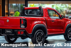 4 Keunggulan Suzuki Carry CL 2025, Mobil Legendaris untuk Pengusaha Milenial, Harga Ramah di Kantong