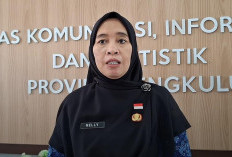 Ada Desa di Bengkulu Blankspot dan Sinyal   Lemah, Kabupaten Kaur di Sini Letaknya!