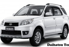 Hati-hati! Ternyata Ini Penyakit yang Mengintai Daihatsu Terios Bekas!