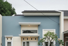 Bikin Hunian Sederhana Tampak Mewah, Inilah 7 Warna Cat Rumah Subsidi yang Elegan